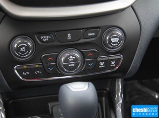 自由光(进口)图片