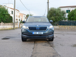 柯迪亚克（海外）图片