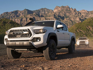 塔库玛TACOMA图片