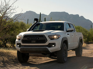 塔库玛TACOMA图片