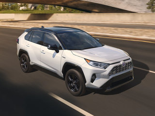 丰田RAV4(海外)图片