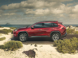 丰田RAV4(海外)图片