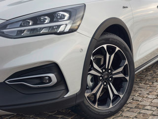 福克斯（进口）图片