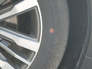 探险者(进口)图片