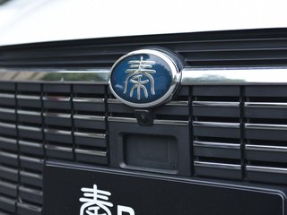 秦Pro新能源图片