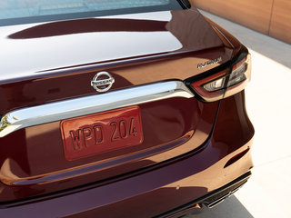 西玛(海外)图片