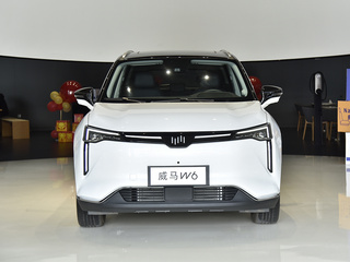 威马W6图片