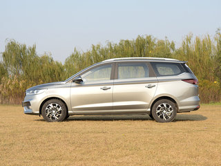 车辆左正侧视角