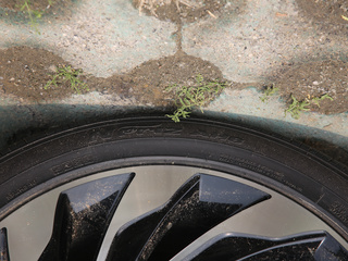 菲斯塔纯电动图片