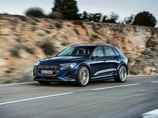 奥迪e-tron(进口)图片