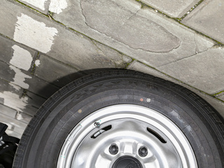 新世代全顺图片