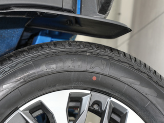 上汽大通MAXUS T90图片