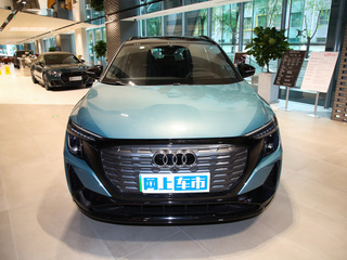 奥迪Q5 e-tron图片