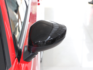 思域(进口)图片