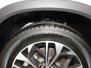 上汽大通MAXUS D60图片