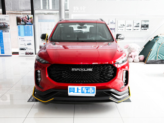上汽大通MAXUS D60图片
