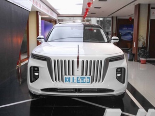 红旗E-HS9图片