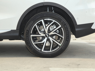 拿铁DHT-PHEV图片