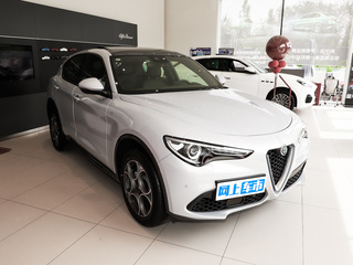 Stelvio斯坦维图片