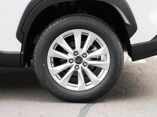 卡罗拉锐放图片