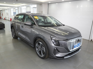 奥迪Q5 e-tron图片