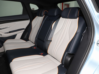 宋PLUS新能源图片