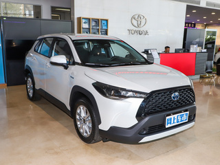 卡罗拉锐放图片