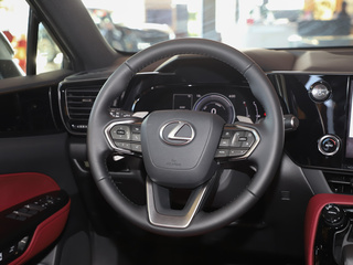 雷克萨斯NX图片