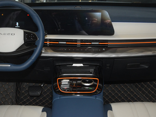 星途追风C-DM图片