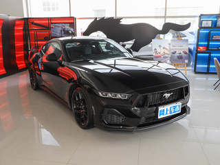 Mustang图片