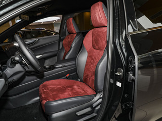 雷克萨斯NX图片