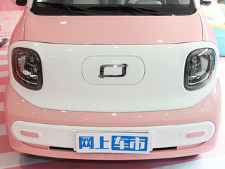 {奔腾小马}图片