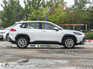 鋒蘭達(dá)圖片