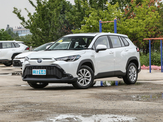 鋒蘭達(dá)圖片