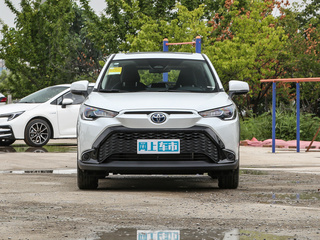 鋒蘭達(dá)圖片