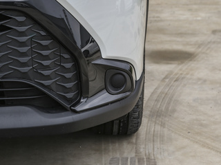 鋒蘭達(dá)圖片