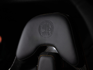 AMG GT XX概念车图片