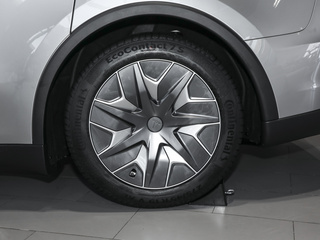 Model Y L图片