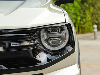 哈弗大狗PLUS新能源图片