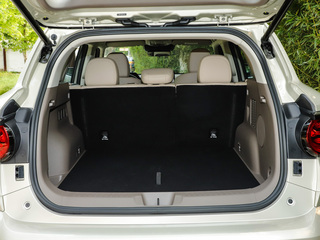 哈弗大狗PLUS新能源圖片