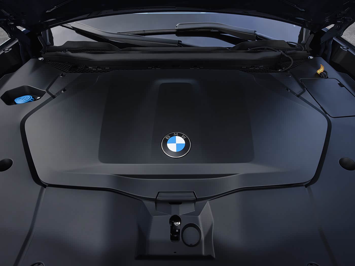 {寶馬iX3(進口)}圖片