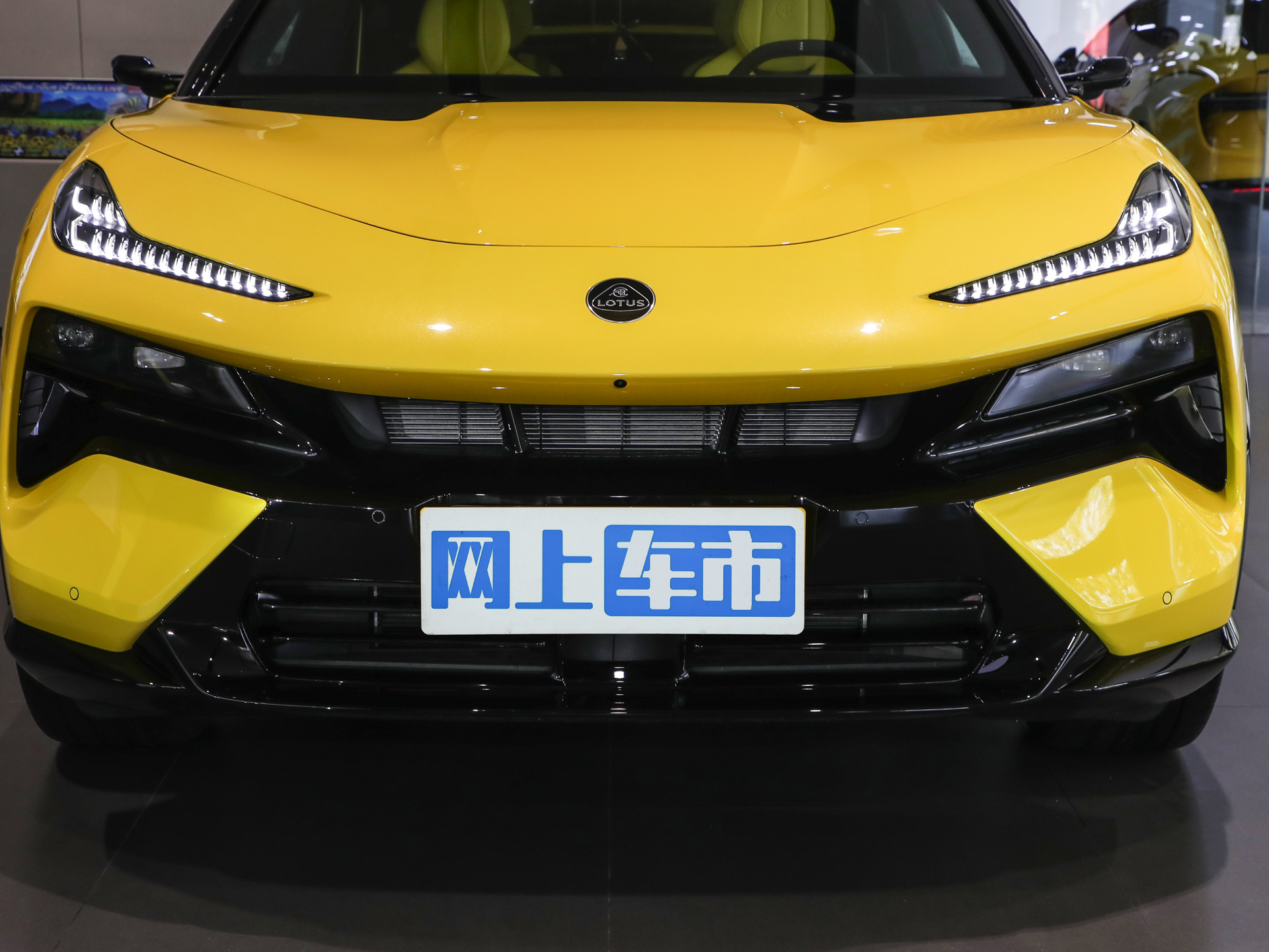 莲花FOR ME图片