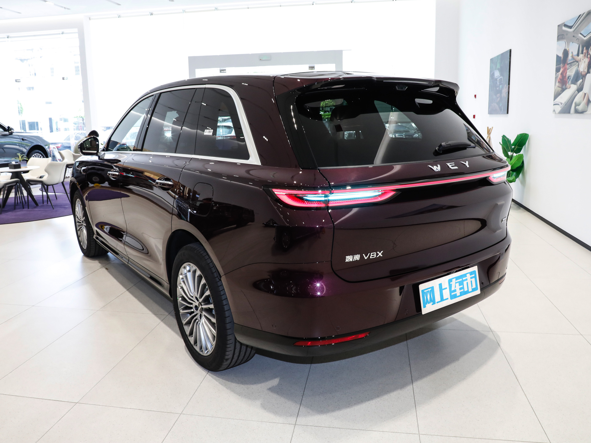 魏牌 V8X图片