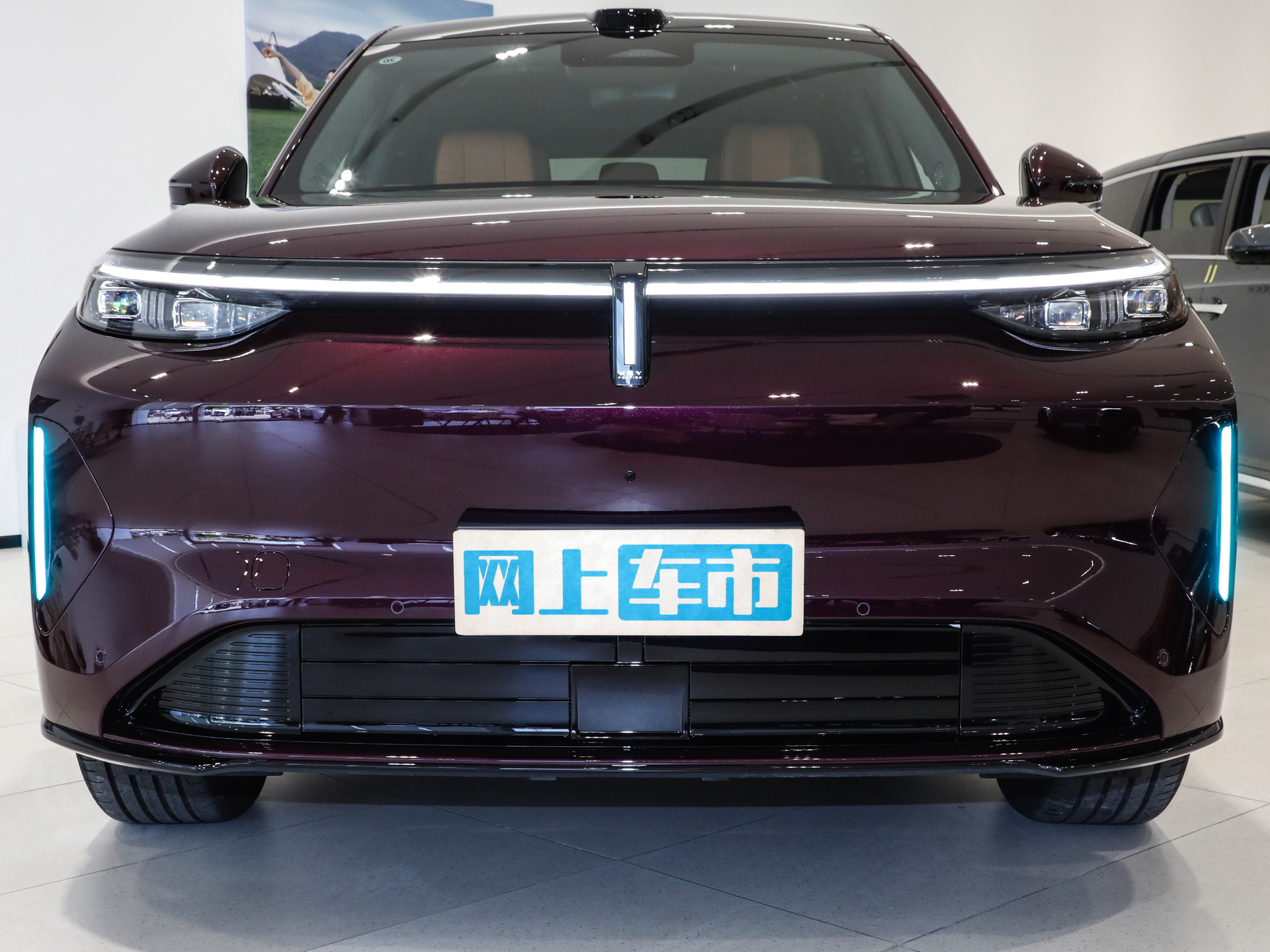 魏牌 V8X图片