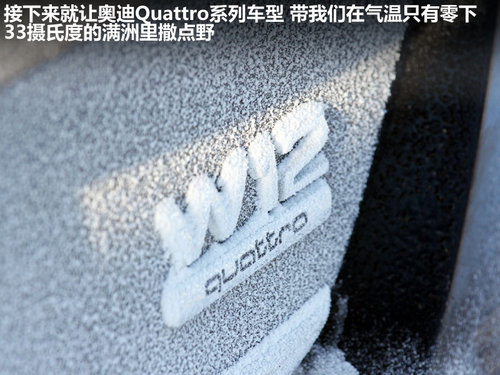 奥迪(进口)  A8L 6.3FSI W12 quattro