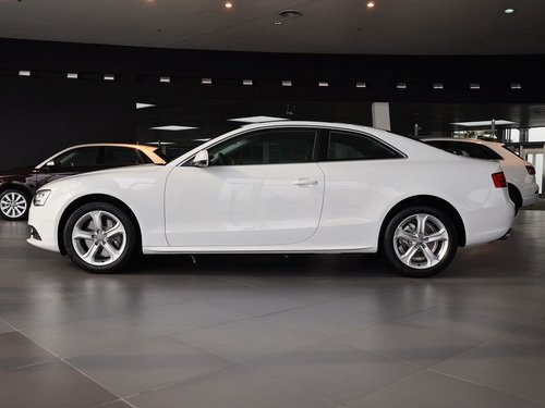 奥迪(进口)  2.0T