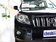 普拉多 4.0 AT VX NAVI 2010款