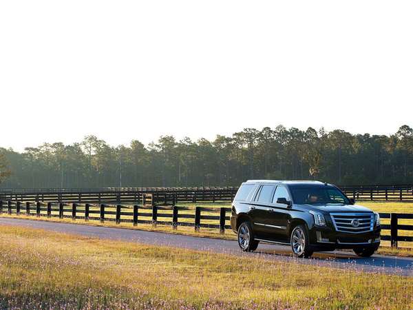 凯迪拉克(进口)  基本型