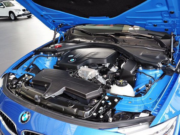 宝马(进口) 428i 发动机主体特写