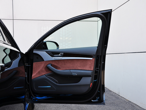 奥迪(进口)  60 TFSI 右前车门正视图